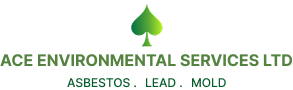 ACE Environmental logo